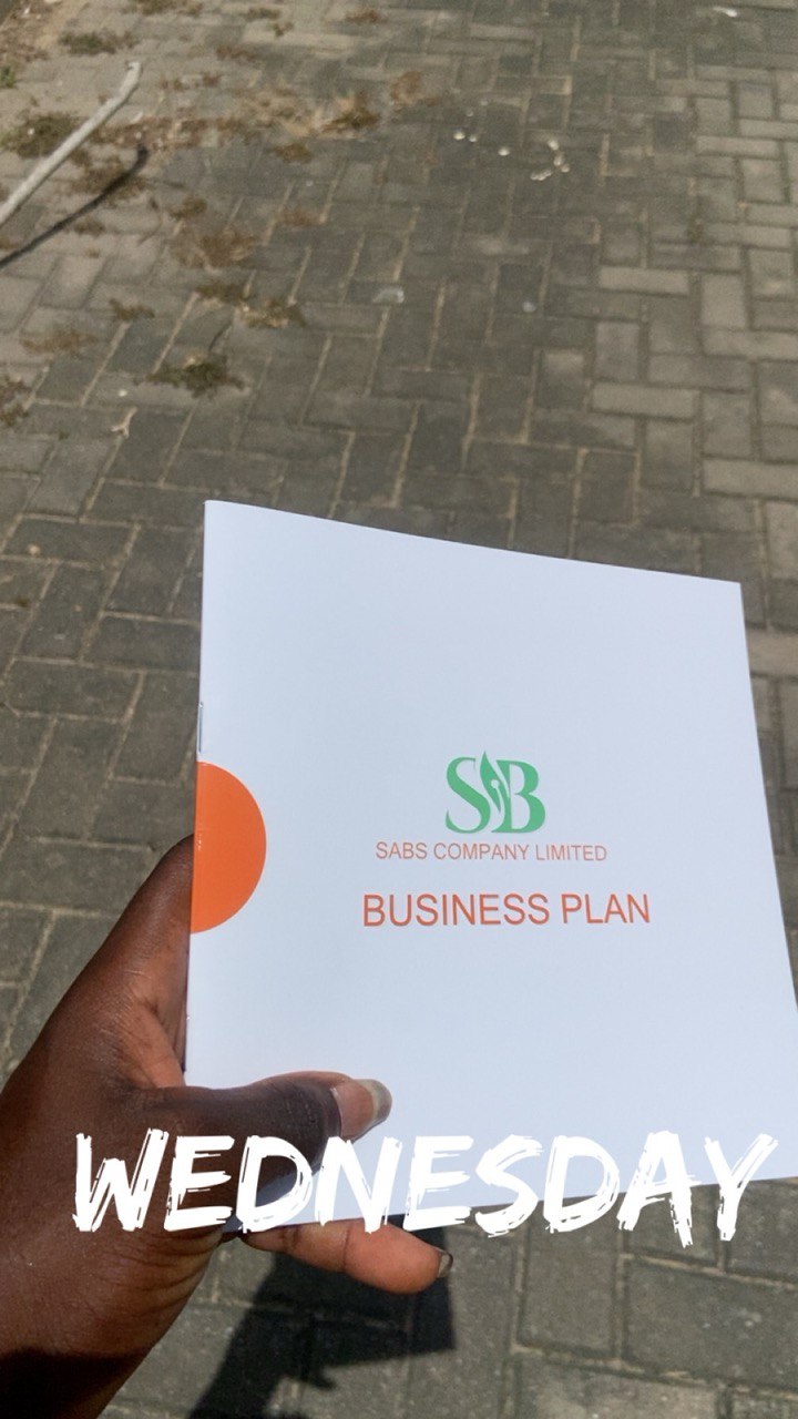 Brochure & Catalog Design
